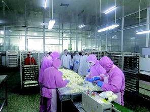 嚴懲違禁食品生產(chǎn) 某公司被重罰14萬元的警示