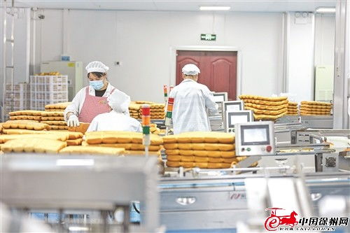 鑫億迪食品加工項目 以產(chǎn)業(yè)融合帶動蔬菜規(guī)模化種植與食品生產(chǎn)升級