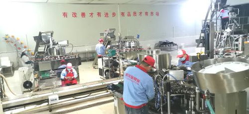 銅梁 龍頭企業(yè)引領(lǐng)，做大做強休閑食品產(chǎn)業(yè)