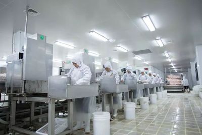 創(chuàng)新驅(qū)動品質(zhì)升級 有友食品的重慶制造探索民營經(jīng)濟高質(zhì)量發(fā)展新路徑